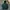 Airwalk Streetwear Sportswear Bomber Jacket Pria Multicolor