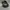 Topi Snapback DGK Dirty Ghetto Kids Skateboard Apparel photo 3