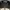 Topi Snapback DGK Dirty Ghetto Kids Skateboard Apparel photo 5