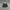 Topi Snapback DGK Dirty Ghetto Kids Skateboard Apparel photo 1