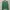 Casual Sweater Wanita green photo 1