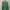 Casual Sweater Wanita Green