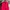Sportswear Track Jacket Wanita Pink