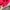 Sportswear Track jacket Wanita pink photo 2