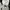 COMME des GARÇONS Skater Sportswear Sneakers Pria white photo 6