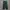Streetwear Skater Formal Pants Pria Green
