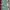 Minimalist Wanita green blue photo 3