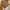 Vintage Streetwear Puffer jacket Pria brown photo 3