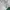MLB Sportswear Bomber jacket Pria white photo 5
