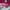 Dickies Casual Sweater Pria Burgundy Cream