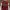 Vintage Casual Track jacket Pria red photo 3