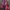 Casual Puffer jacket Pria red photo 2