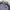 Adidas Sportswear Windbreaker Pria gray photo 4
