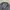 Adidas Sportswear Windbreaker Pria gray photo 2