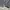 Adidas Sportswear Windbreaker Pria gray photo 6