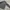 Adidas Sportswear Windbreaker Pria gray photo 3