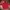 Nike Casual Hoody Pria red photo 4
