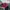 Stone Island Streetwear Casual Hat Pria red photo 3