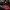 Stone Island Streetwear Casual Hat Pria red photo 6