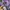Millet Gorpcore Track jacket Wanita purple photo 2