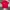 Stussy Vintage T-shirt Pria red photo 5