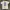 Thrasher Streetwear Skater T-shirt Pria White