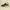 Adidas Streetwear Sportswear Sneakers Kids white yellow photo 1