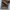 Casual Casual pants Pria brown photo 6