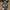 Minimalist Casual Sandals & slide Pria green black photo 6
