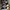 Rick Owens Streetwear Boots Pria white black photo 2