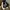 Rick Owens Streetwear Boots Pria white black photo 1