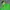 Helly Hansen Gorpcore Windbreaker Pria green photo 4