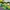 Helly Hansen Gorpcore Windbreaker Pria green photo 8