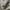 Avirex Streetwear Y2K Hoody Pria gray photo 5