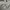 Avirex Streetwear Y2K Hoody Pria gray photo 4