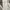 Avirex Streetwear Y2K Hoody Pria gray photo 7