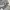 Levi's Vintage Streetwear Hoody Pria gray photo 2