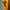 Streetwear Luxury Hoody Pria orange yellow photo 4