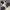 VANS Vintage Streetwear Windbreaker Pria white photo 4