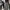 Streetwear Jeans Pria gray photo 2