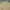 Burberry Y2K Minimalist Formal shirt Pria tan cream photo 4