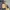 Gorpcore Puffer jacket Pria tan photo 6
