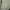 Renoma Minimalist Casual Sweater Pria green photo 7