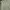 Renoma Minimalist Casual Sweater Pria green photo 5
