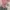 H&M Y2K Casual Crop Top Wanita Pink