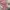 H&M Y2K Casual Crop Top Wanita Pink