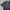 Lacoste Casual Polo shirt Pria navy photo 3