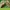 Sepatu Boots Magnum Spider Multicam
44 photo 6