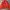 Vintage Harrington jacket Pria red photo 1