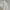 Vintage Polo shirt Pria white black photo 3